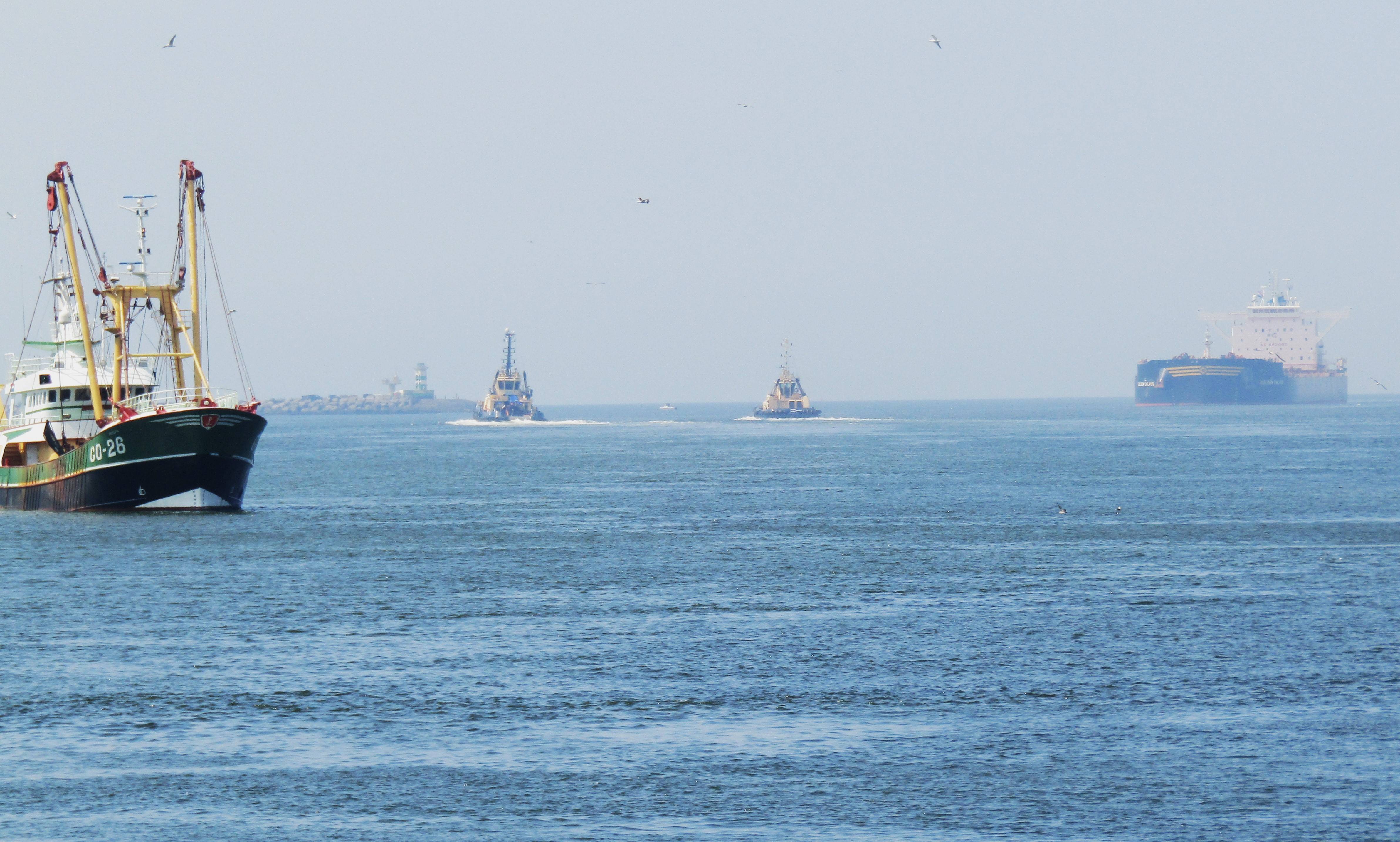 Pieren IJmuiden   06-08-24 